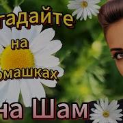 Не Гадайте На Ромашках