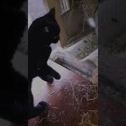 Еханый Бабай Это Че Там