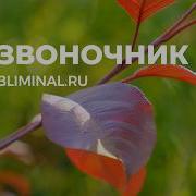 Здоровая Спина Саблиминал