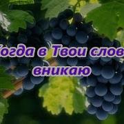 Когда В Твои Слова Вникаю Минус