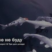 Что Бы Не Забыть Какая Сука Любовь Speed Up
