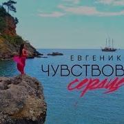 Евгеника Чувствовало Сердце