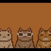 Kitty Go Kitty Go