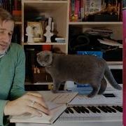 Основы Психотерапии Книги
