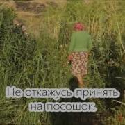 Минус Семин На Посошок