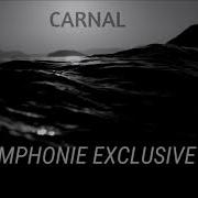 Carnal Symphone Exclusive