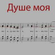 Душе Моя Д С Бортнянский Альтовая Партия