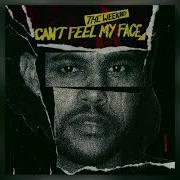 The Weeknd Can T Feel My Face Official Studio Acapella