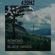 Bonobo Kong Album