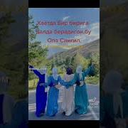 Опа Сингиллар Учун Кушик