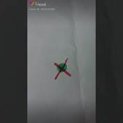 Meme Я Не Человек И Не Горошек Я Ежик D