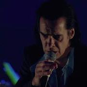 Nick Cave Live