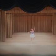 Зебрина Анна Вариация Из Балета Бабочка