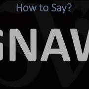 How To Say Gnaws