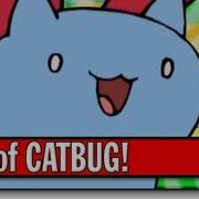 Cat Bug