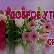 Красивое Пожелание Доброго Утра Удачной Среды