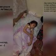 Меги Илочш Боша