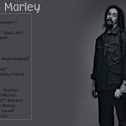 Damian Marley Сборник