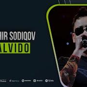 Тохир Содиков Алвидо