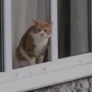 Не Прыгай Придурок