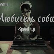 Любитель Собак Speed Up