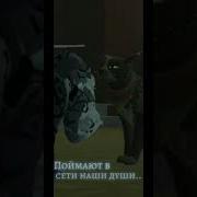Мамы Коты Воители