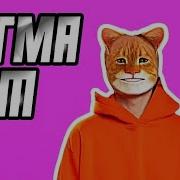 Сигма Котитк