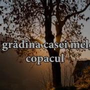 In Gradina Casei Mele