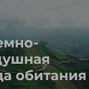 Биология 5 Класс Падчери Параграф 17 Наземно Воздушная Среда Обитания