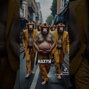 Друг Который Всегда Хочет Срать