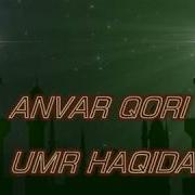 Anvar Qori Umr