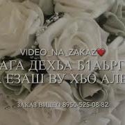 Д1А Эца Ахь Дог Са