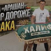 Алканов Кочкорум
