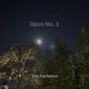 Opus No 5