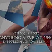 Anything Everything Vini Vici Infected Mushroom Pixel