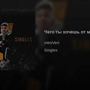 Introvert Чего Ты Хочешь От Меня