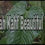 Фахад Азиз Ниязи Кахф