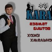 Караоке Без Слов Хожу Хмельной