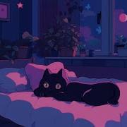 Ｓｌｅｅｐｙ Lofi Cat Lofi Hip Hop Mix Relax With My Cat Beats To Sleep Chill To