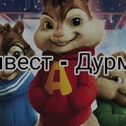 Бурундуки Дурман Ганвест