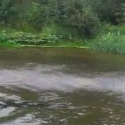 Прикол Если Плавать Не Умеешь Но Умеешь Бегать