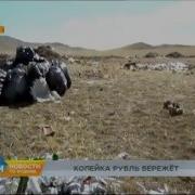 Рен Тв Информация Программы 24 2004
