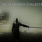 Nasheed Toplami