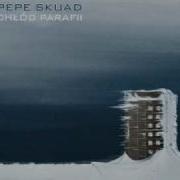 Pepe Skuad Taka Jest Prawda