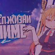 Смысл Жизни Аниме Песня
