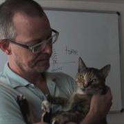 Learn English Daily Easy English Expression 0499 To Tear Around Through