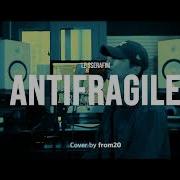 Le Serafim Antifragile Acoustic Male