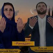 Джамиля Залова Рейсан Магомедкеримов