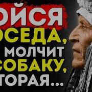 Альберт Эйнштейн Плагиат И Воровство Чужих Идей