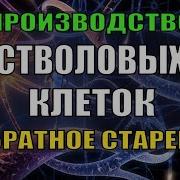 Квантовое Омоложение Создание Стволовых Клеток Регенерация Исцеление Звуком Волны Шумана